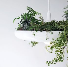 Sky Garden Hanging Light Pendants House Planted Hanging Suspension Lighting