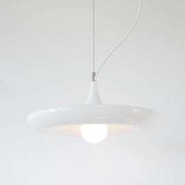 Sky Garden Hanging Light Pendants House Planted Hanging Suspension Lighting