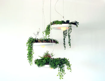 Sky Garden Hanging Light Pendants House Planted Hanging Suspension Lighting