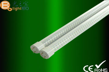 T5 LED Tube Lamp