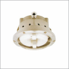 220v 40w 50HZ Recessed Industrial Pendant Lights With Electrode Less Bulb