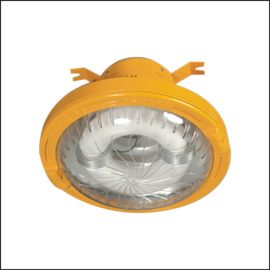 220v 40w 50HZ Recessed Industrial Pendant Lights With Electrode Less Bulb