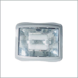 220v 40w 50HZ Recessed Industrial Pendant Lights With Electrode Less Bulb