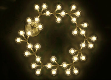 17 Lights LED Net Circle Hanging Ceiling Lights with Warm White LED